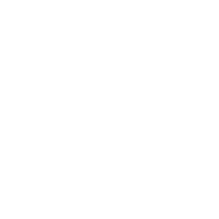 Fisu